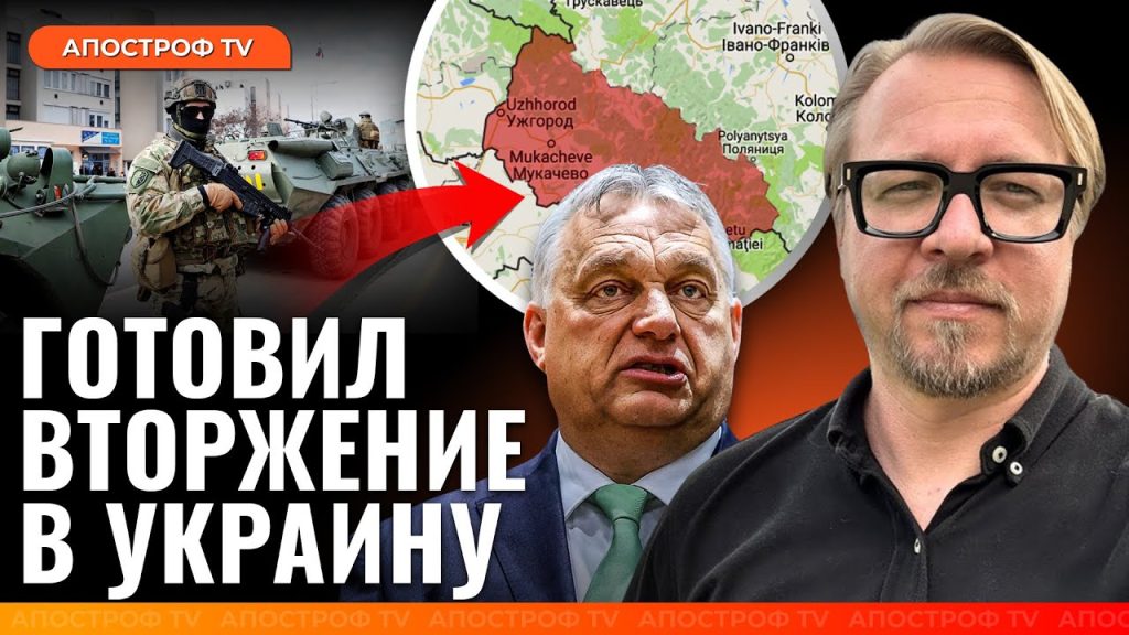 Борис Тизенгаузен Биография Личная Жизнь: Путь и Карьера
