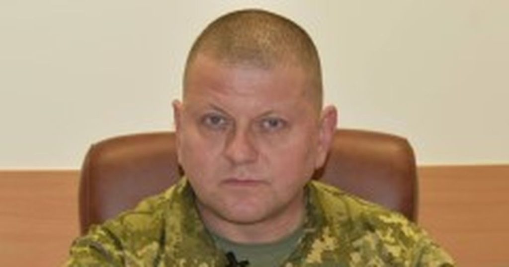 Валерий Залужный Родители Национальность: Биография и Личная Жизнь