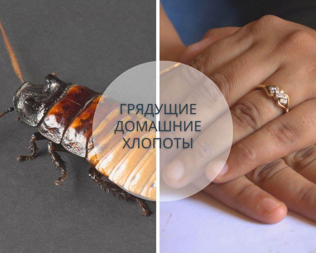 К Чему Снится Кал Женщине: Толкование и Значение Сновидения