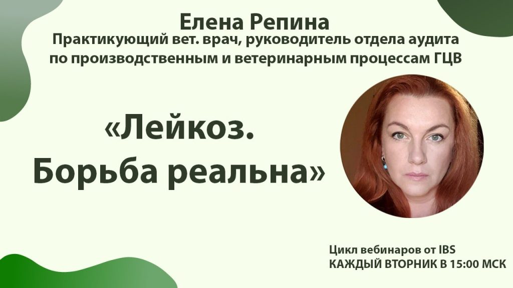 Елена Репина Личная Жизнь: подробный рассказ о биографии, карьере и семье