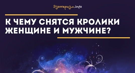 К Чему Снится Кал Женщине: Толкование и Значение Сновидения