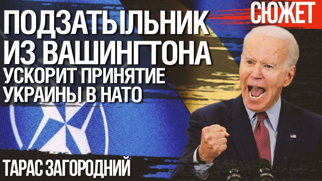 Тарас Загородний: национальность, биография и карьера