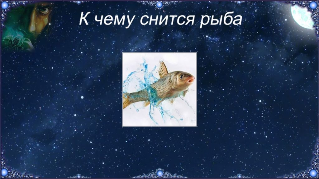 К Чему Снится Рыба: Значение, Символика и Толкование Сновидений
