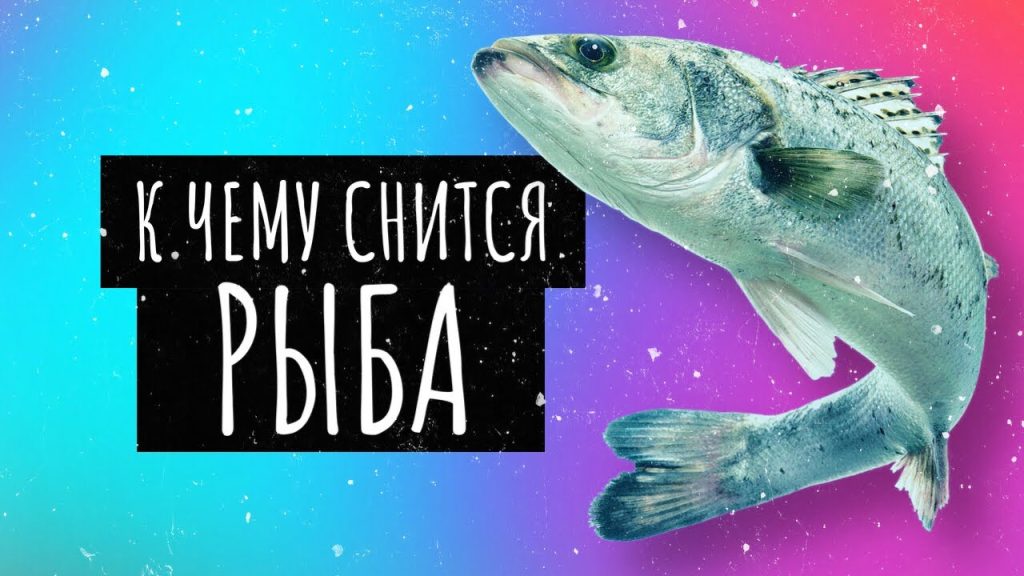 К Чему Снится Рыба: Значение, Символика и Толкование Сновидений