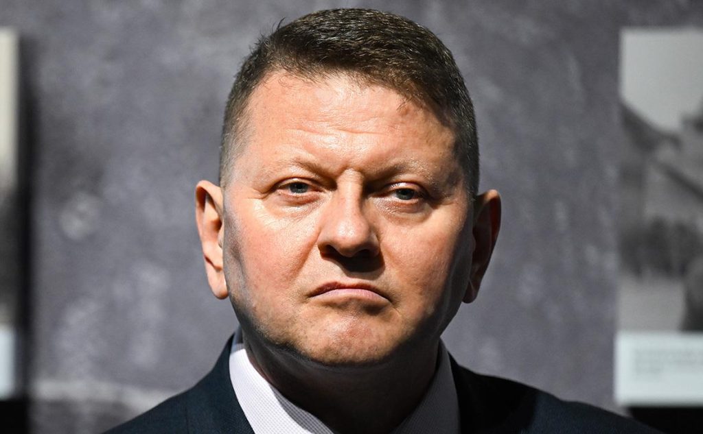 Валерий Залужный Родители Национальность: подробности биографии и личной жизни