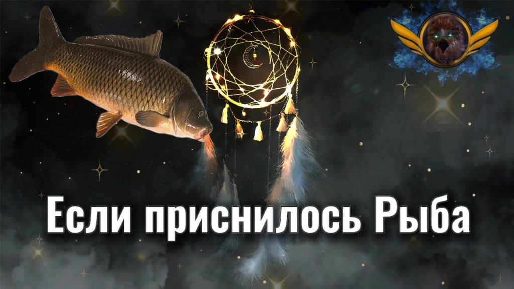 К Чему Снится Рыба: Значение, Символика и Толкование Сновидений