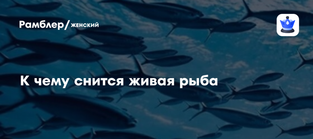 К Чему Снится Рыба: Значение, Символика и Толкование Сновидений