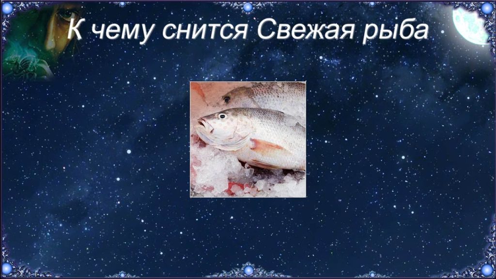 К Чему Снится Рыба: Значение, Символика и Толкование Сновидений