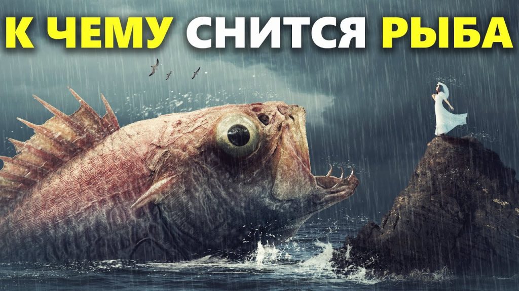 К Чему Снится Рыба: Значение, Символика и Толкование Сновидений