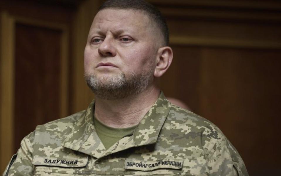 Перша Дружина Залужного: подробности биографии и личной жизни